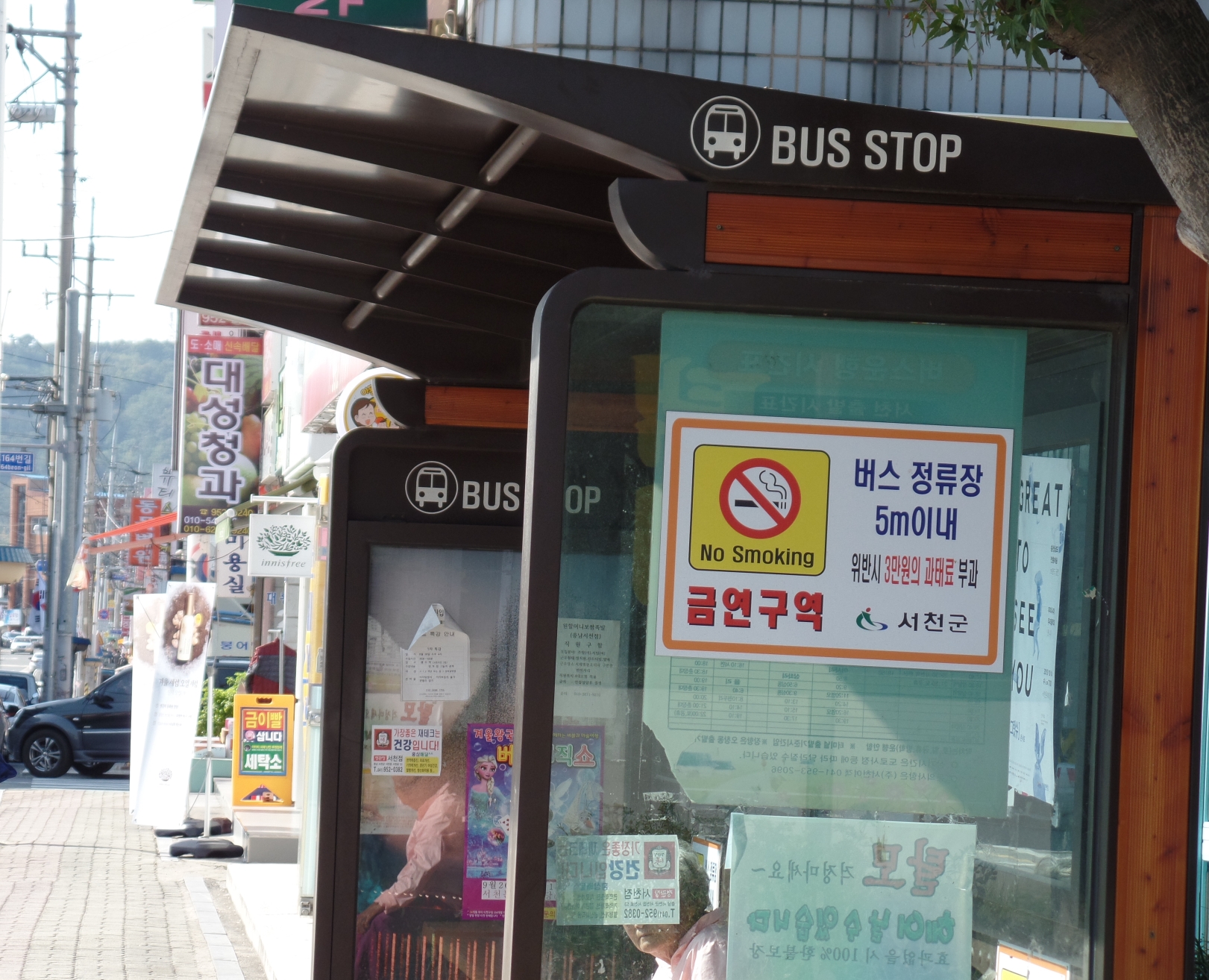 (6일)서천군, 금연 지정구역 흡연단속 실시 (1).JPG