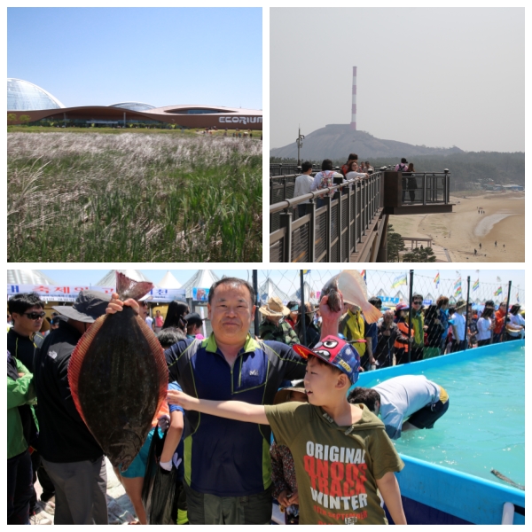 (29일)5월 황금연휴, 여행은 서천이지 말입니다! (1)