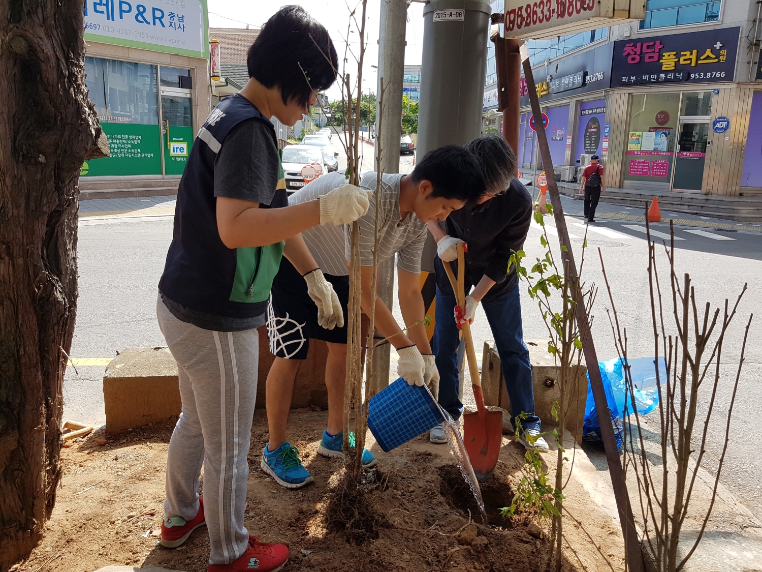 (29일)서천군 우리나라 꽃 무궁화심기 추진 (2)