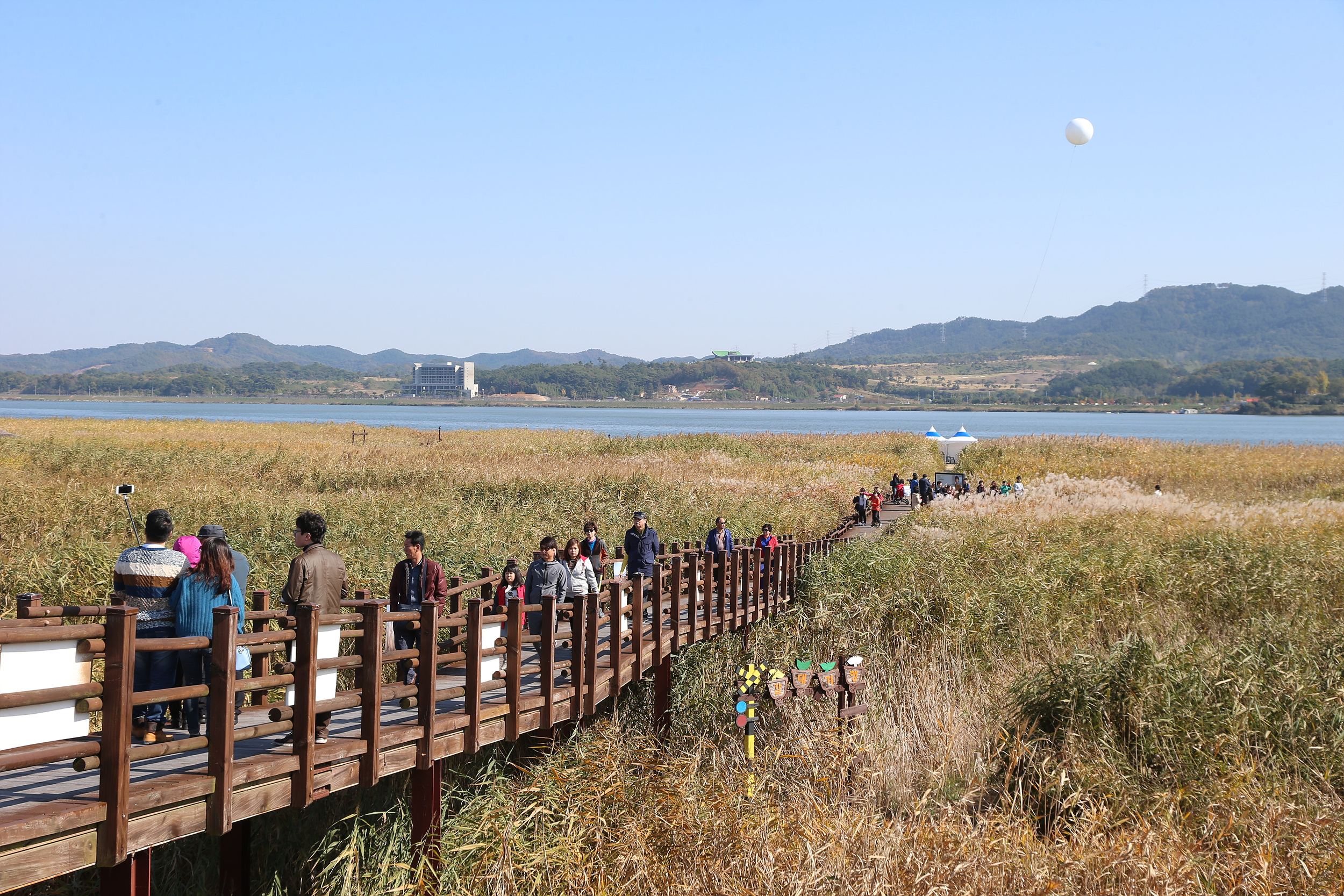 (24일)서천군 2016 달빛문화 갈대축제 (2)