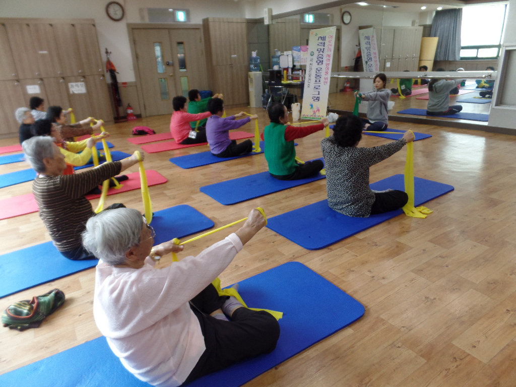 (19일)서천군 노인체력맞춤형운동 프로그램 운영 (1).JPG