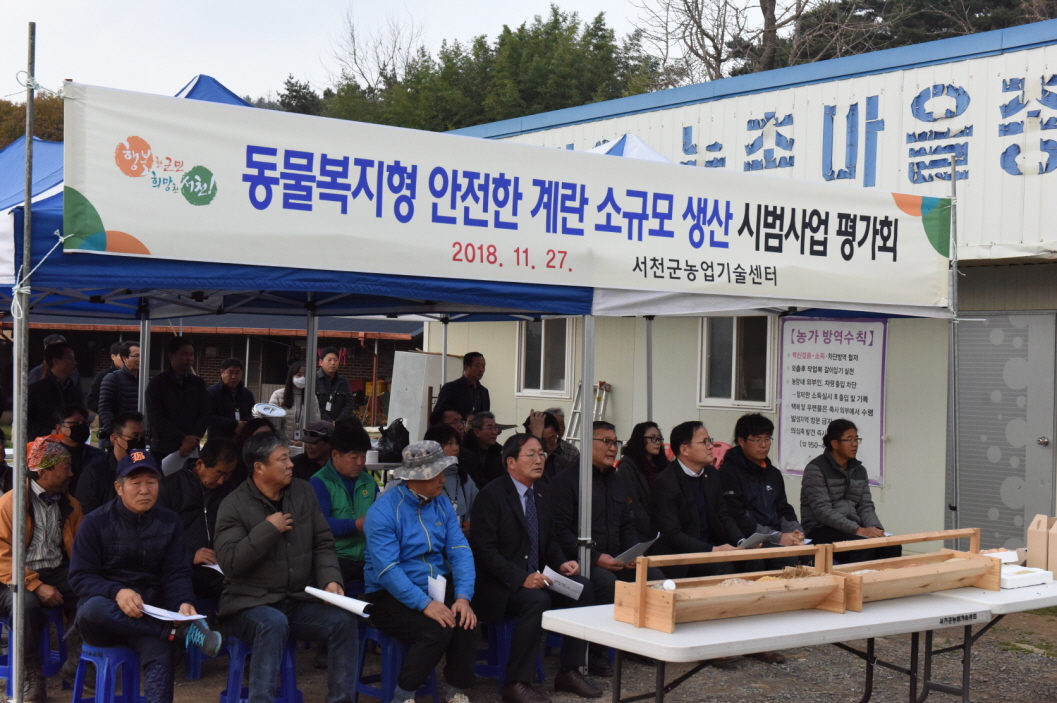 사진(28일) 서천군, 동물복지 사육방식으로 생산된 계란 믿고 드세요!(소규모 생산 시범사업 평가회 개최)