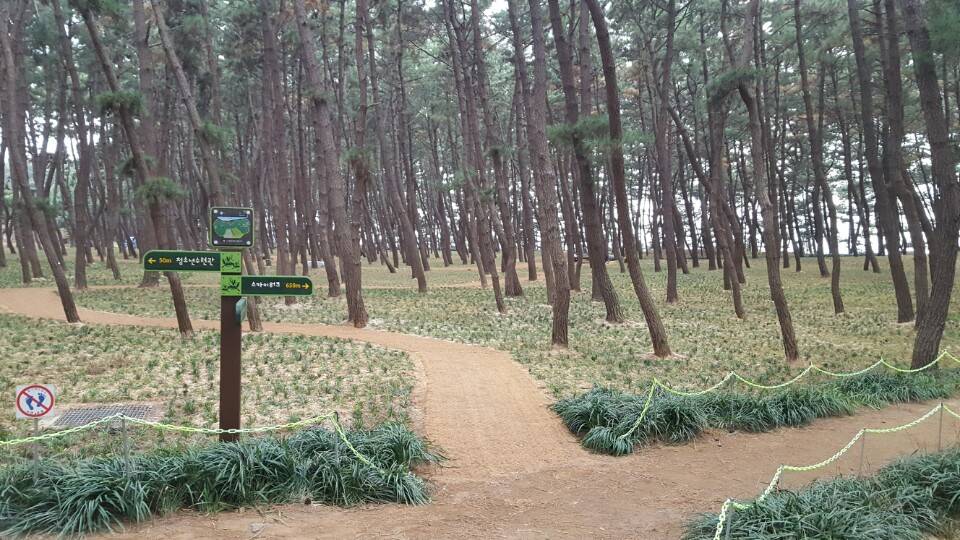 서천군, 솔바람길 전국적인 명소로 거듭난다