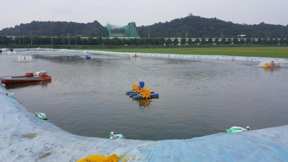 서천군, 친환경 흰다리새우 생산 출하