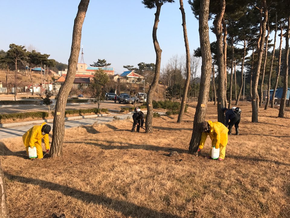 서천군, 재선충병 예방나무주사 사업