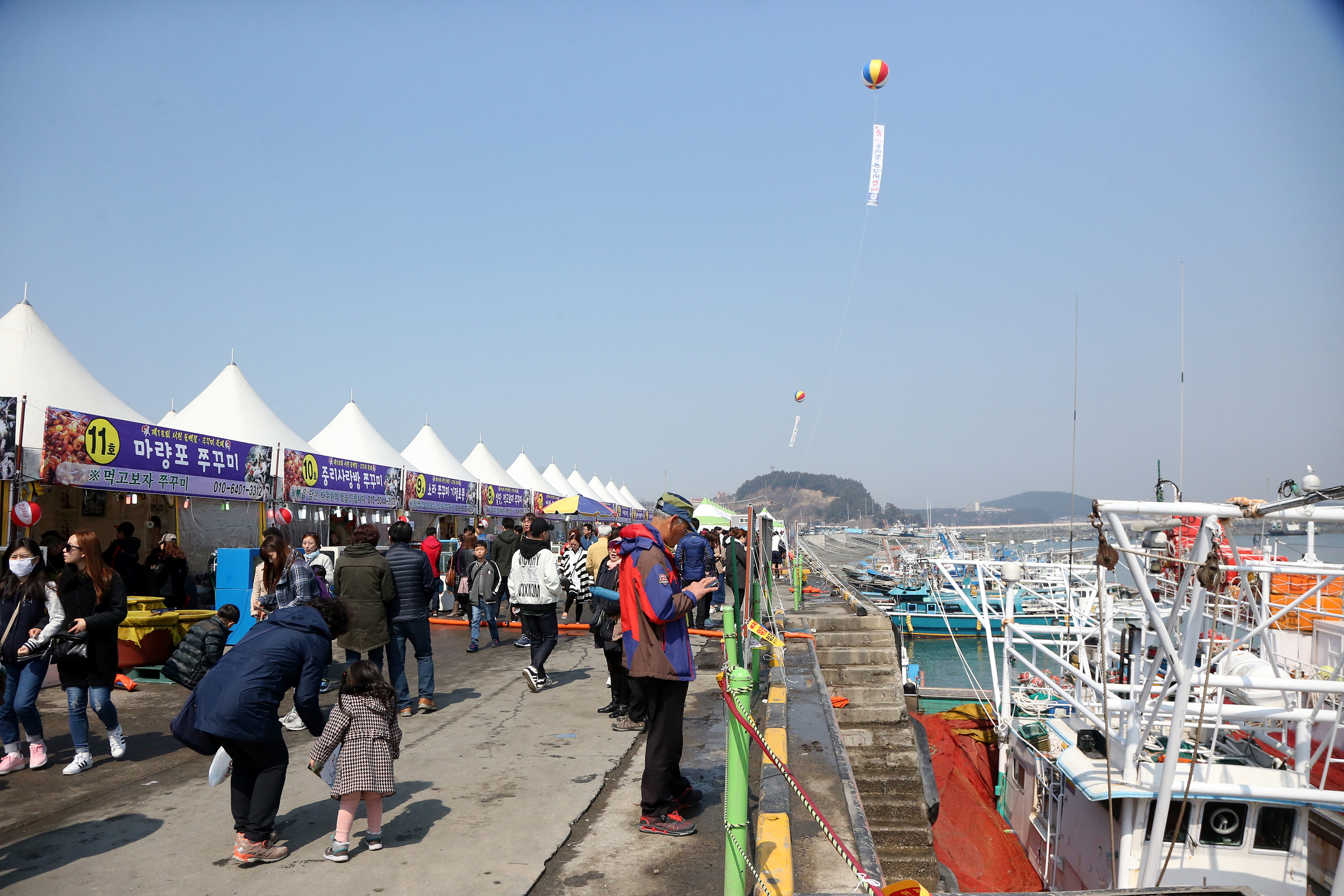 서천군, 제18회 서천 동백꽃·주꾸미 축제 성료