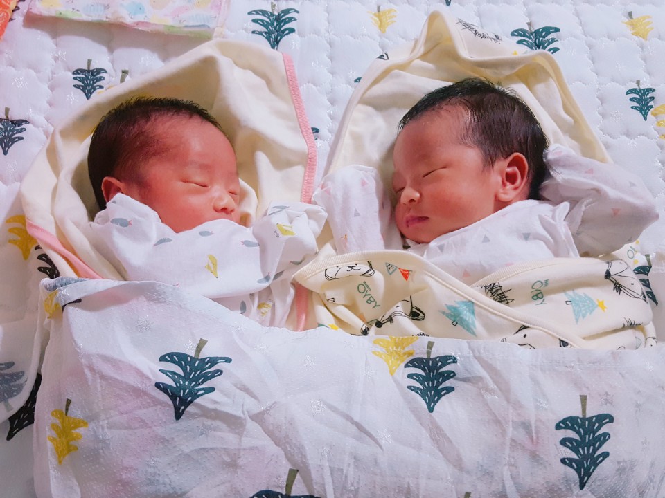서천군 문산면, 북산마을 쌍둥이 선물