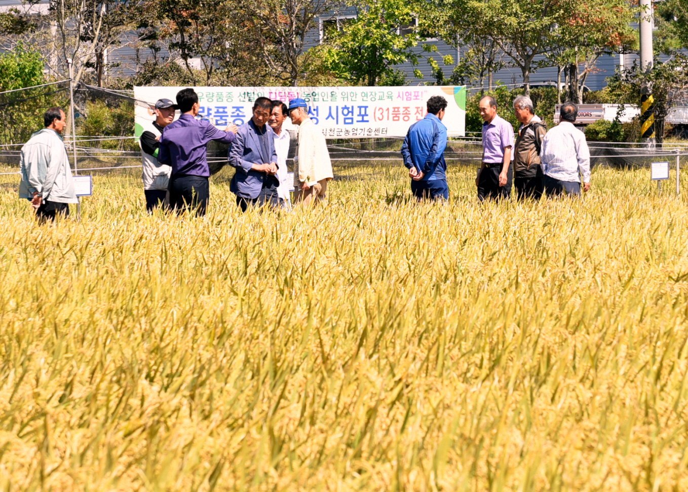 서천군, 벼농사 종합평가 다양한 쌀산업 발전 모색