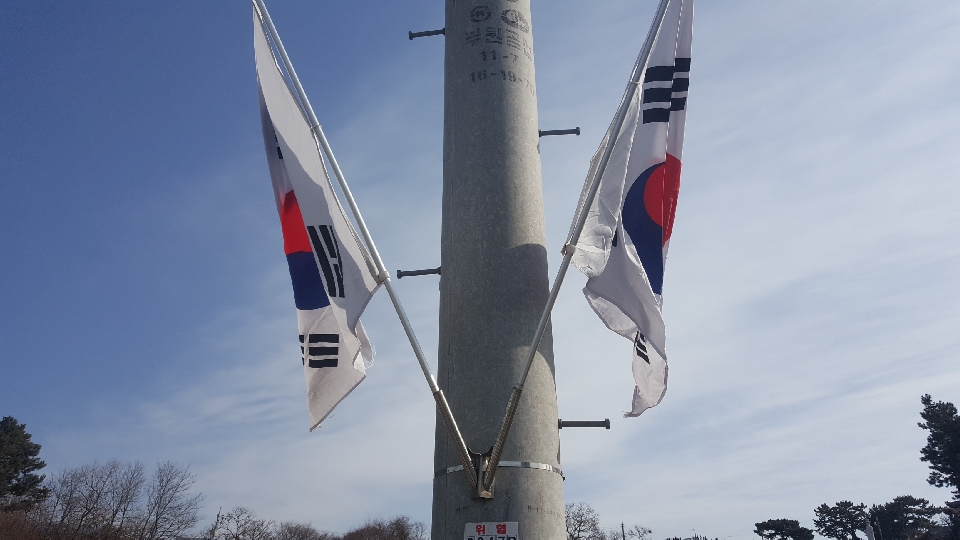 서천군, 3·1절 기념 나라사랑 태극기 달기 운동 전개