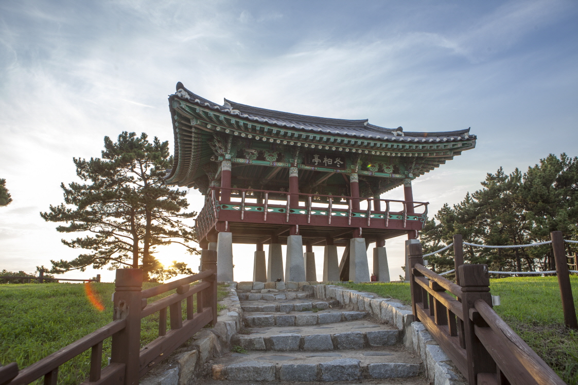 마량리 동백나무 숲 임시 휴관 안내